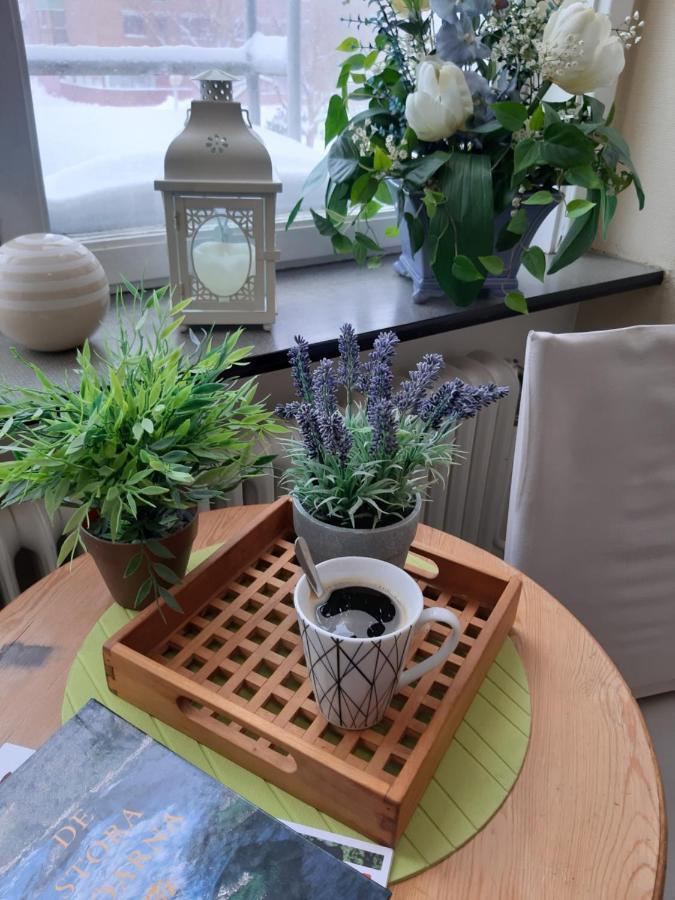 Pitea Vandrarhem Bagian luar foto